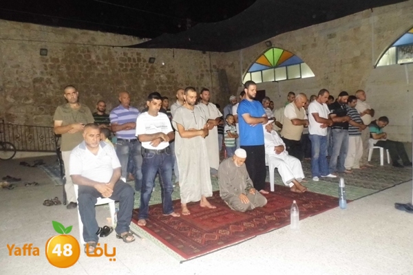 kaber trawe7 718 (12).JPG